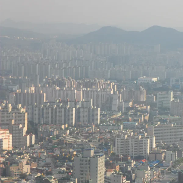 모던 하니포레스트 테라피 안내 이미지