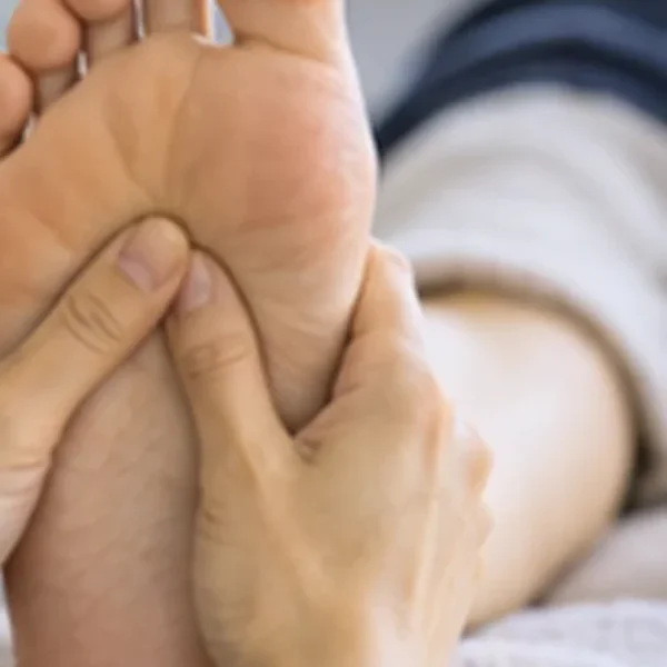 모던 새봄포레스트 테라피 안내 이미지